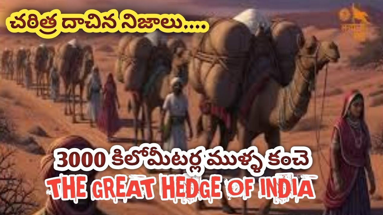 THE GREAT HEDGE OF INDIA||British India||colonial history ||Untold history||forgotten story ||