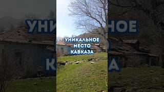 Я в уникальном месте Кавказа. #дцпнеприговор #путешествие #Кавказ #shorts #влог #travel