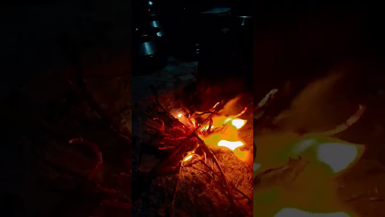 Pjabhi song ❣️ please laik kre 🔥🔥🔥🔥🔥🔥🔥🔥❣️👍