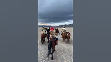 Revealing the ancient art of falconry in Mongolian culture"#2023 #shorts