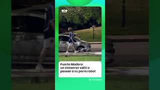 Spreen Salió A Cr Con Su Perro Robot Por Puerto Madero