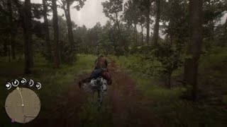 Red Dead Redemption 2_20250809191532