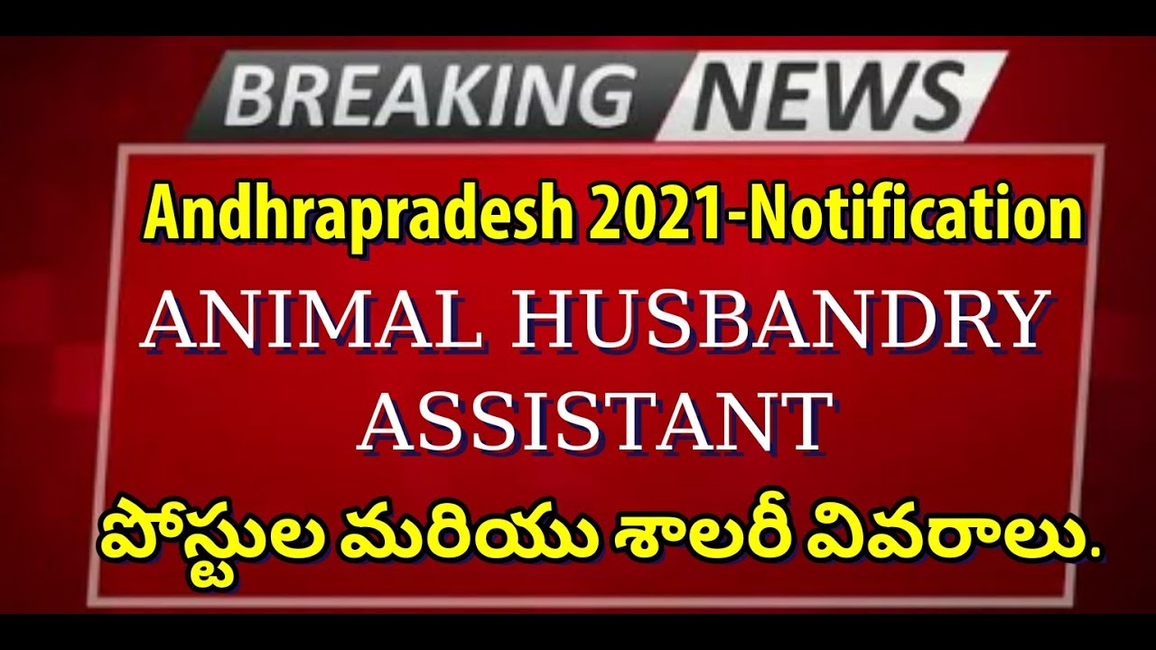 Animal Husbandry Assistant Notification-2021  post's, Age, Salary  details - YouTube