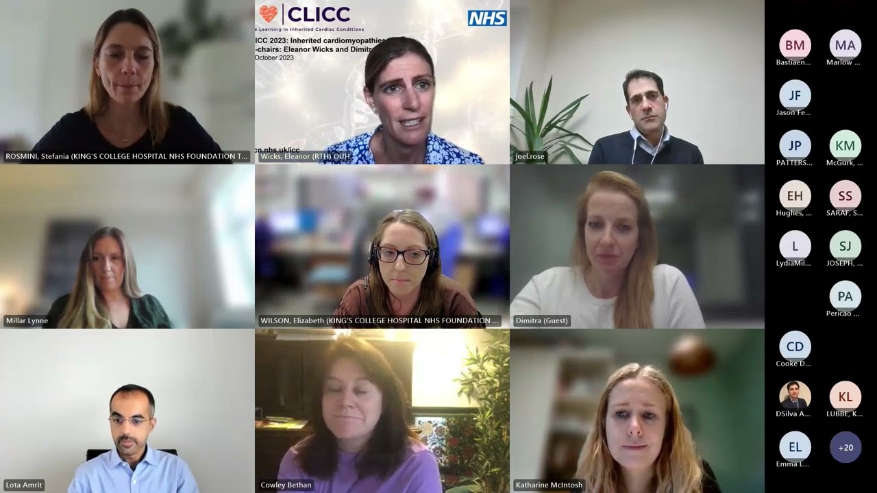 CLICC Day 8: Panel session 2