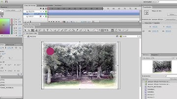 Tutorial Adobe Flash - Cómo importar imágenes para mejorar los ejercicios