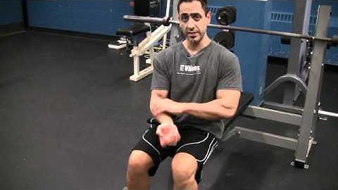 Seated Dumbbell Bicep Curls