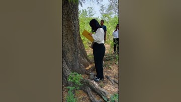 Learning Journal IV_ Core Value ASN BerAKHLAK (Berorientasi Pelayanan dan Akuntabel).