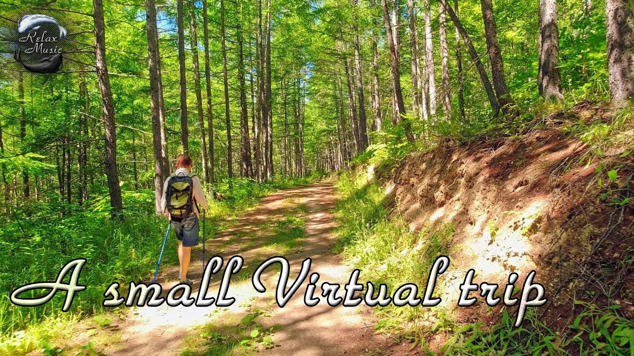 A relaxing walk through the woods accompanied by pleasant music and ...