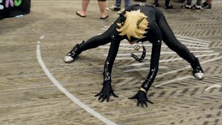 Chat Noir's Weakness | LASER POINTER | Anime PDX 2016