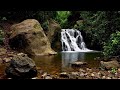 Nighttime Waterfall Sounds | 12 Hours of Peace