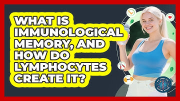 What Is Immunological Memory, And How Do Lymphocytes Create It? - All About the Immune System