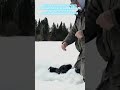 Огромная щука на жерлицы зимой #рыбалка #щука #щуказимой #щуканаживца #щуканажерлицы