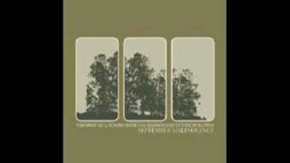 September Malevolence - Nobody Noticed The Fire