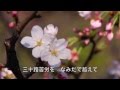 めおと桜/川中美幸 cover Keizo
