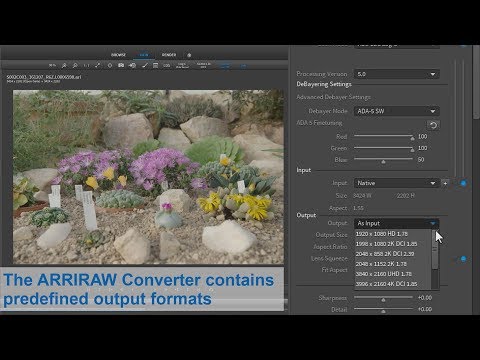 ARRI Tech Tip: ARRIRAW Converter - How to define an output resolution