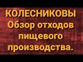 Семья Колесниковых/Новости из Дворца.