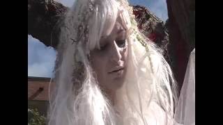 Bloemencorso Eelde 2016 - Witte Wiev N