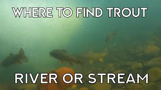 Where To Find Trout In A River or Stream