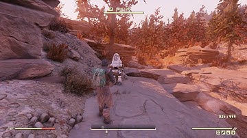 Fallout 76 Insult Bot #2