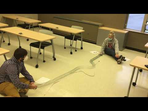 Slinky Lab: Amplitude and Wave Speed part 1