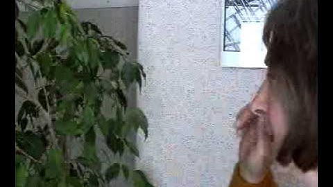 Bates method 4: spatial awareness