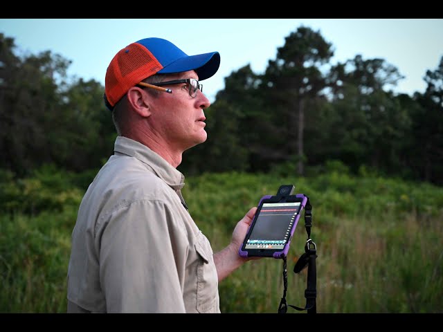 Watch Bat acoustic surveys on YouTube.