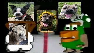 UNBARKABLE (Unbeatable but My Dogs Sing It :3)
