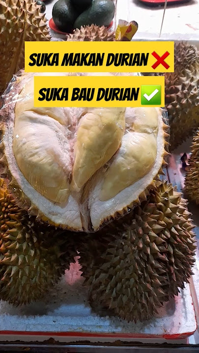 Download lagu Is there anyone like me? 🤣 #dj #funnymusic #remix #shortsvideo #durianhongkong