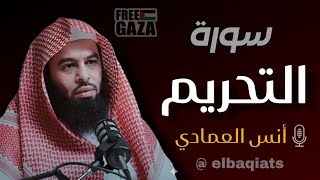 #جديد - أنس العمادي – سورة التحريم كاملة | Anas Al Emadi – Surah At-Tahrim Full Recitation