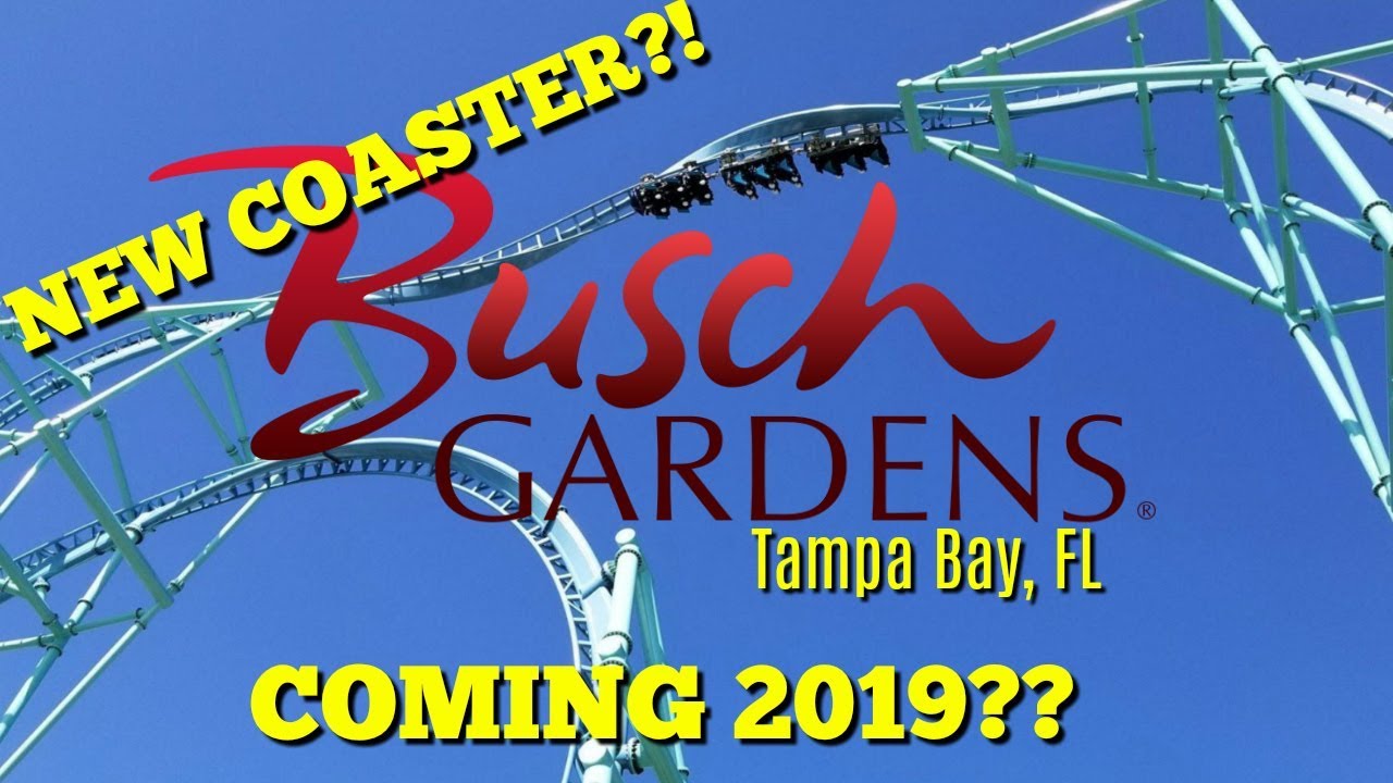 *NEW* Roller Coaster Coming To Busch Gardens Tampa In 2019?! YouTube