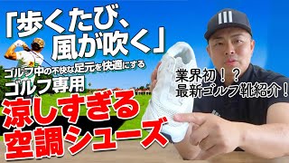 ゴルフシューズ　DF25 ドライフィート 25｜空調ゴルフシューズ – ゴルファボ