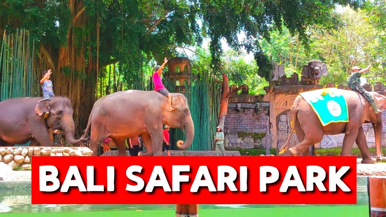 WISATA BALI SAFARI PARK YouTube wisata-bali-safari-park-youtube