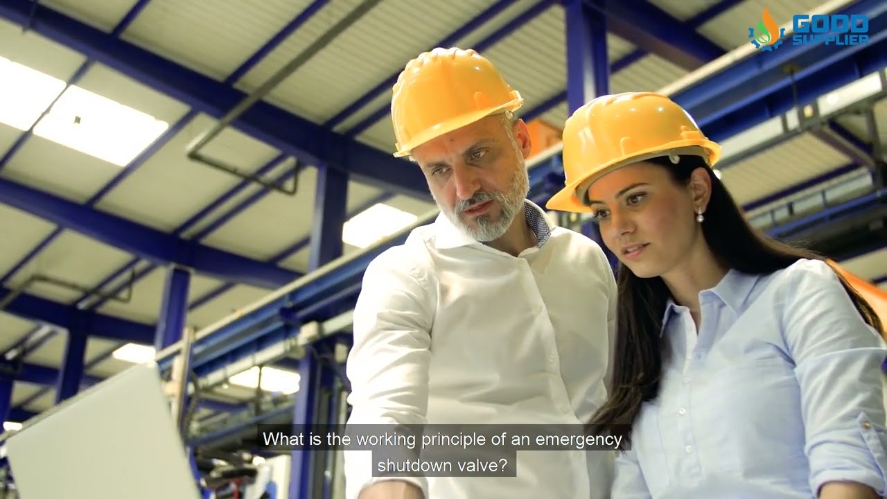 ESD Valves By | Good Supplier's