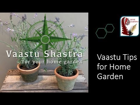 15 Vastu Tips For Plants And Trees House Gardening As Per Vastu