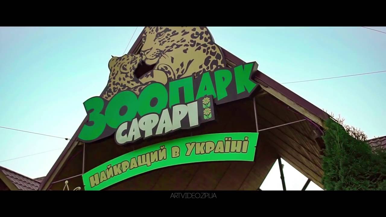 ArtWedding presents   Berdyansk Promo 2016