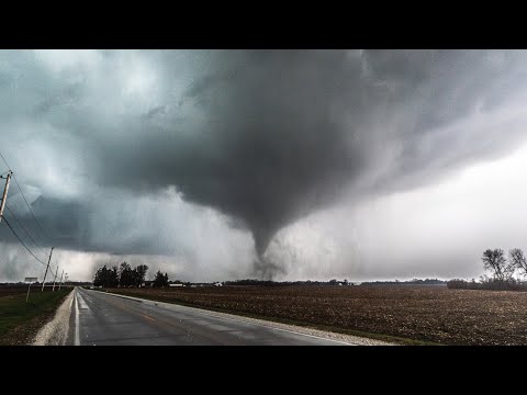 Trapped Inside This Tornado