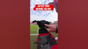 Go Get That Kicking Tee Pup 