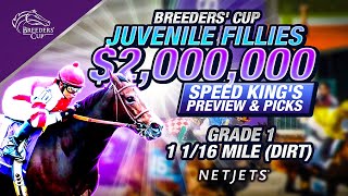 видео: Предварительный обзор и выбор молодых кобыл Breeders Cup | 7-я гонка Del Mar, 31.10.2025, этап к ... картинка: Предварительный обзор и выбор молодых кобыл Breeders Cup | 7-я гонка Del Mar, 31.10.2025, этап к ...