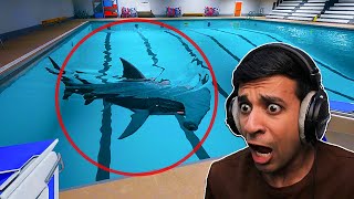 Thumbnail for المسبح