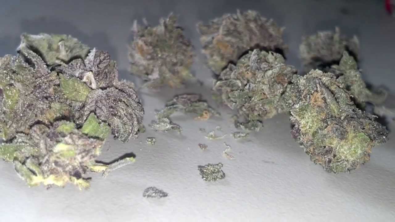 Purple Kush and Bong Rip