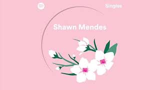 Video thumbnail of "Shawn Mendes - Use Somebody (Spotify Singles)"