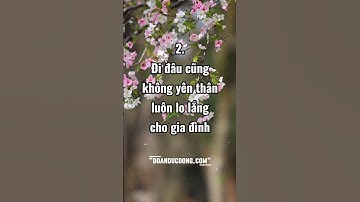 4 đặc điểm của một người vợ tốt #shorts #doanducdong