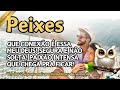 🏆 BÔNUS PEIXES ♓ QUE CONEXÃO É ESSA MEU DEUS! SEGURA E NÃO SOLTA! PAIXÃO INTENSA QUE CHEGA P/ FICAR!
