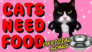 Cats Need Food [Official] Kittycat Song 2
