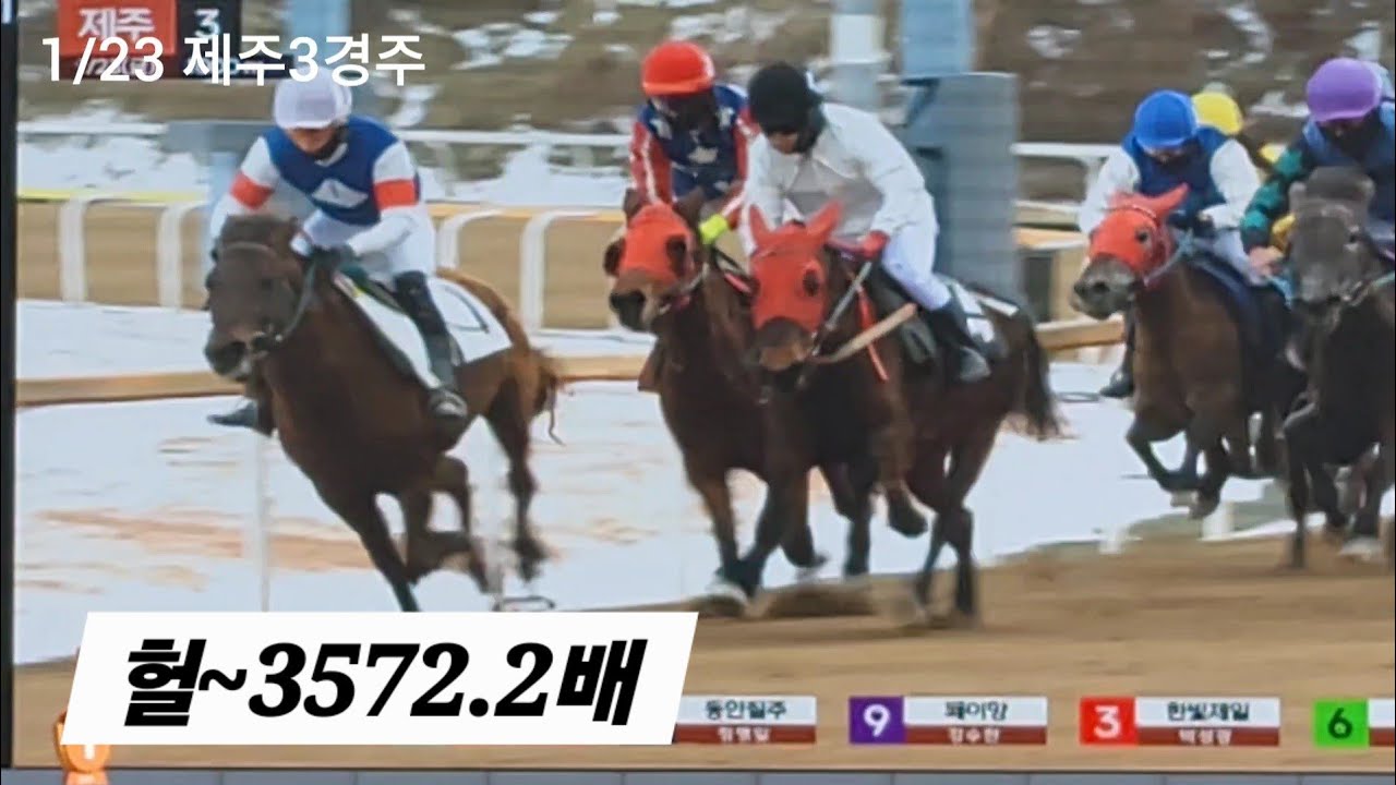 터진다고 봤으면 다 사야되!(제주경마 하일라이트)엠.비.씨로 들어오네?