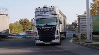 Scania R666 Joker by Sebus trans