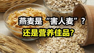 燕麦是“害人麦”，还是营养佳品？