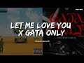 Let Me Love You X Gata Only Slowed Reverb 