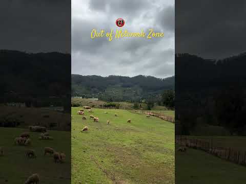 Feel the Nature ! Out of Network Zone #dailyvlog #viral #dailyshorts #vlog #visualsignaling