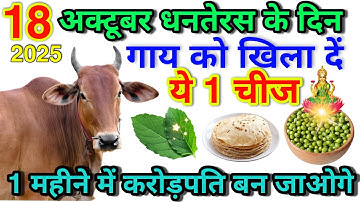 18 अक्टूबर धनतेरस के दिन गाय को खिला दें ये 1 चीज 1 महीने में करोड़पति बन जाओगे Dhanteras Diwali